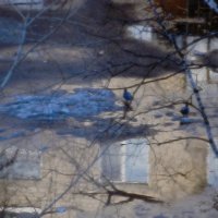 Весна во дворе :: Сергей Сергеев