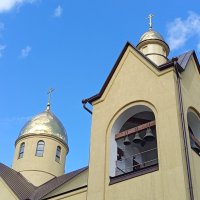 Накануне Вербного Воскресения :: Андрей Лукьянов