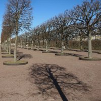 Петергоф. Верхний сад. Апрель :: Наталья Герасимова