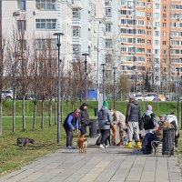 Собачники :: Валерий Иванович Собачники :: Валерий Иванович