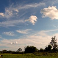 Облака,облака.Лёгкие,пушистые... :: nadyasilyuk Вознюк Облака,облака.Лёгкие,пушистые... :: nadyasilyuk Вознюк