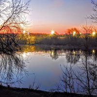 Ажурный рассвет! :: Елена Хайдукова  ( Elena Fly )