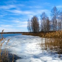 Весна в начале апреля (репортаж из поездок по области). :: Милешкин Владимир Алексеевич 