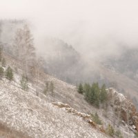 В объятиях осеннего тумана и чуткого покоя тишины... :: Сергей Герасимов