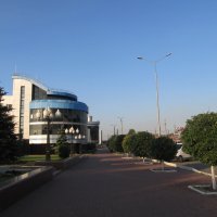 Челябинск :: Елена Шаламова