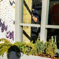 * :: Сергей Полянский