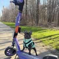 Заряжен! :: Анна Камс