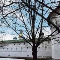 Новоспасский монастырь :: Олег 