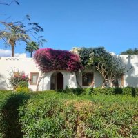 Египет. Шарм-эль-Шейх :: Ирэн Египет. Шарм-эль-Шейх :: Ирэн