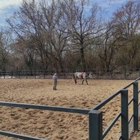 Лошадка :: Игорь Ч. Лошадка :: Игорь Ч.