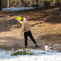 Игра с собакой :: Александр Синдерёв