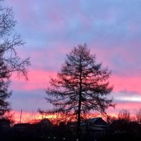 Раннее утро :: Ольга 