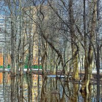 Отражение :: Мария - Maria