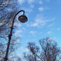 Весна, фонарь, деревья... :: Лилия *