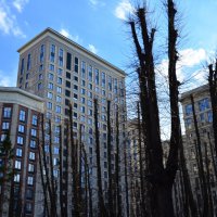 Сочетание. :: Наталья Вязигина