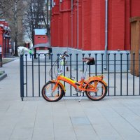 Красивые! :: Наталья Вязигина