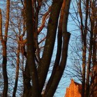 Кирха Нойхаузена. :: Константин Белоногов