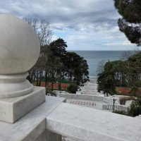 СОЧИ :: Tata Wolf