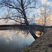 Река Молокча :: Денис Бочкарёв