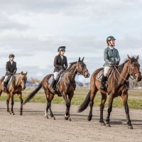 Парад :: SanSan 