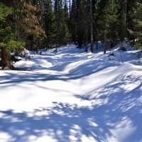 - :: Владимир Мигонькин - :: Владимир Мигонькин