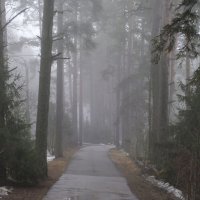 Ещё в лесах белеет снег...... :: Юрий Цыплятников