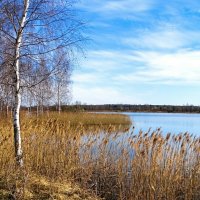 Смоленская весна. :: Милешкин Владимир Алексеевич 