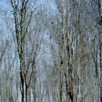 Весененнее зазеркалье :: Юрий 