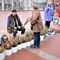 ВЕРБНОЕ :: Виктор Никитенко