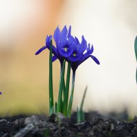 Начало, которое нельзя остановить :: Иван Литвинов