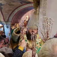 С ВЕРБНЫМ ВОСКРЕСЕНИЕМ! :: ИРЭН@ .