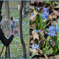 Весна творит рукой художника :: Татьяна Машошина Весна творит рукой художника :: Татьяна Машошина