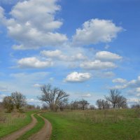 Весенний день...Дорога в весну...степь просыпается... :: Надежда Куркина 