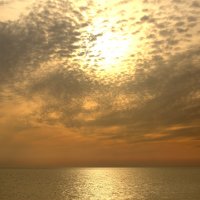 После дождя :: Валерий 