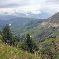 Пологие горы :: Владимир Соколов (svladmir)