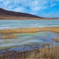 **** :: Алексей Мезенцев **** :: Алексей Мезенцев