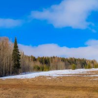 Весна :: Анастасия Логинова