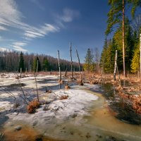 Приболотило ... :: Roman Lunin