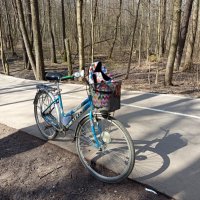 Портрет моего "железного коня" :: Андрей Лукьянов