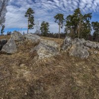 На берегу Оки. :: Николай 