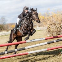 Конкур :: SanSan 