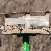 Один на стрёме :: Валерий Иванович