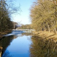 Весенний парк. :: Милешкин Владимир Алексеевич 