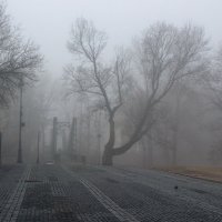 *** :: Сергей Григорьев