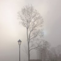 *** :: Сергей Григорьев