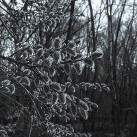 ***** :: юрий поляков