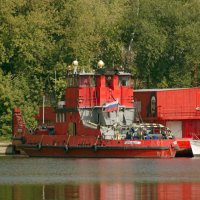 Толкач :: Олег Толкач :: Олег