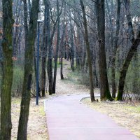 *** :: Андрей Л. В.