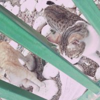 14  КЛОС (107) :: CLOSE WAYS ALL