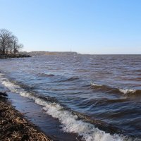 Петергоф. Финский залив :: Наталья Герасимова